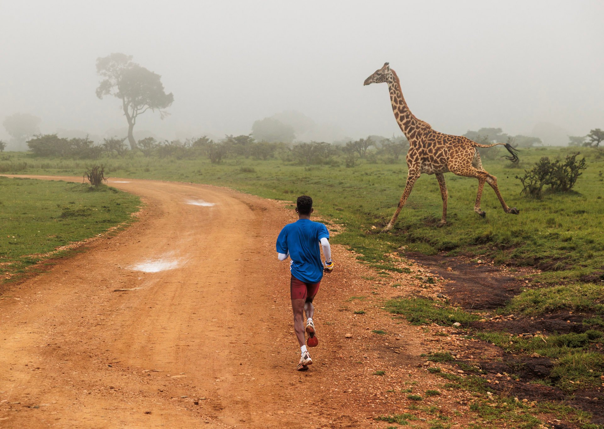 Above: Some of the Mara’s locals can reach 60 km/h