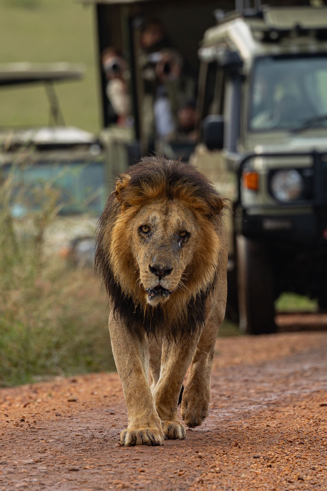 F7.1, 1/100, ISO250 | Arnold Omondi 