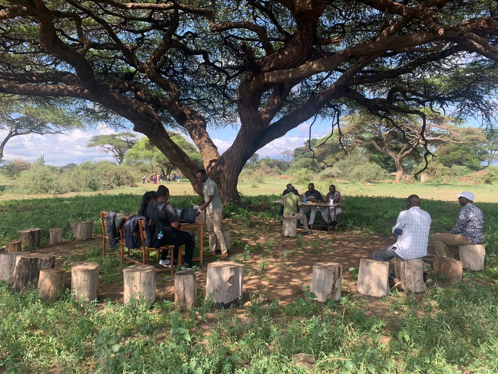In Maasai culture, many important discussions happen under a big tree like this  