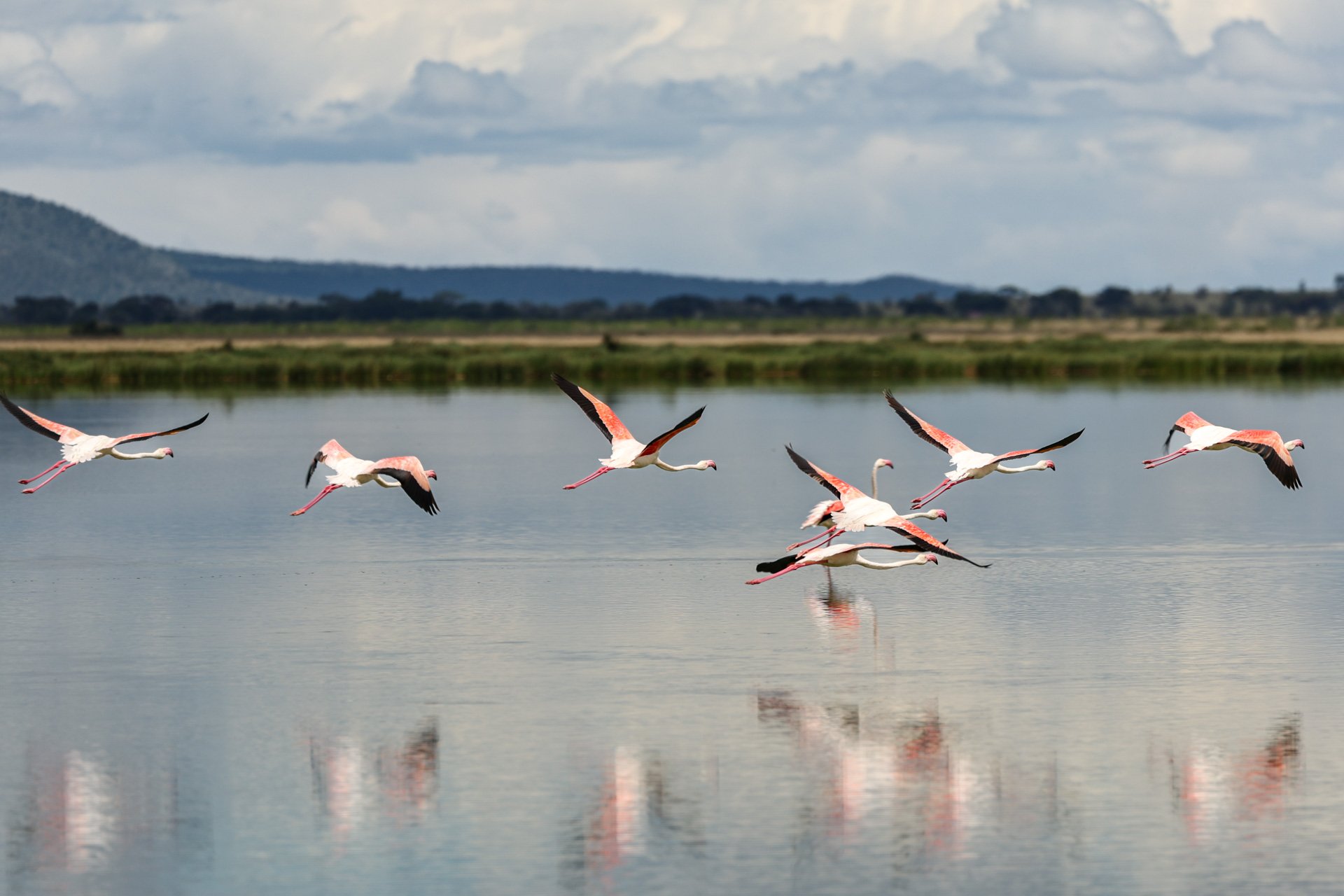 F6.3, 1/800, ISO125 | Guest Dawn Laguens 