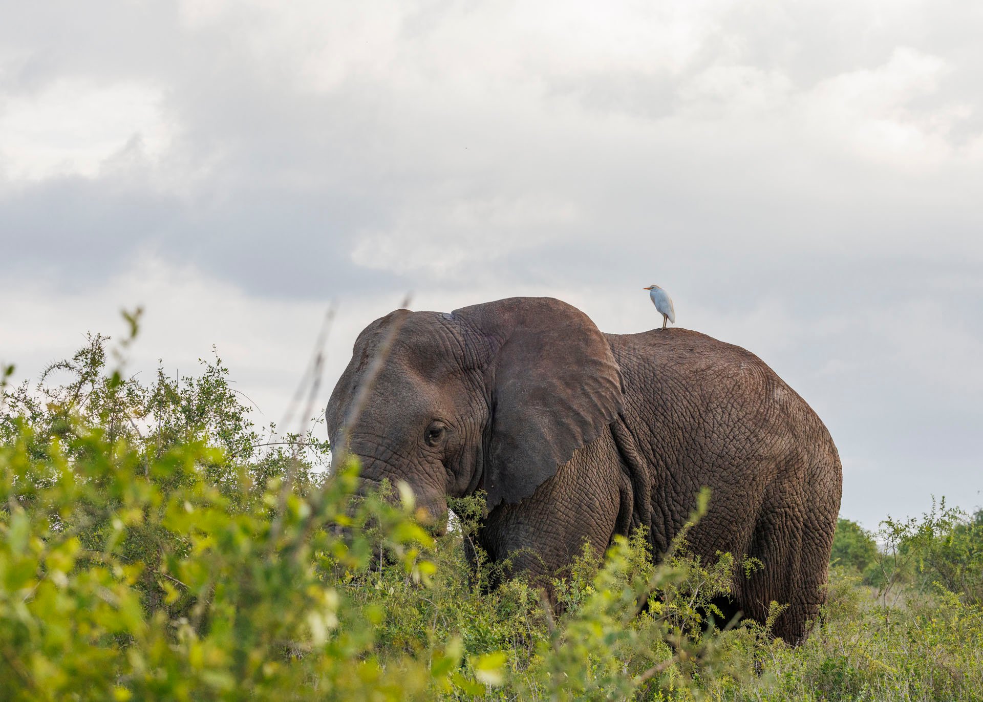 F8.0, 1/800, ISO1000 | Marvin Mwarangu 