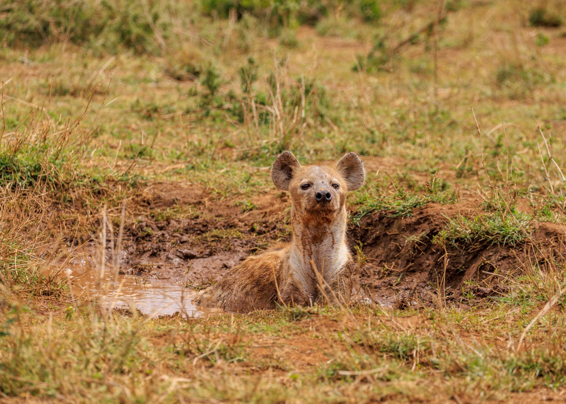 F5.6, 1/1600, ISO200 | Marvin Mwarangu 