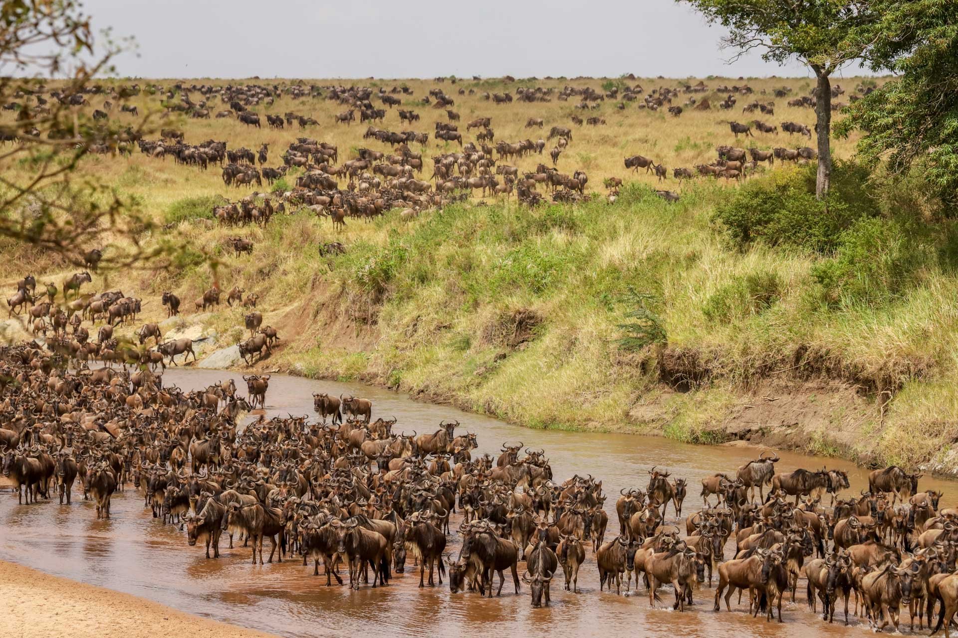 Above: Guest Ashok captures a river crossing