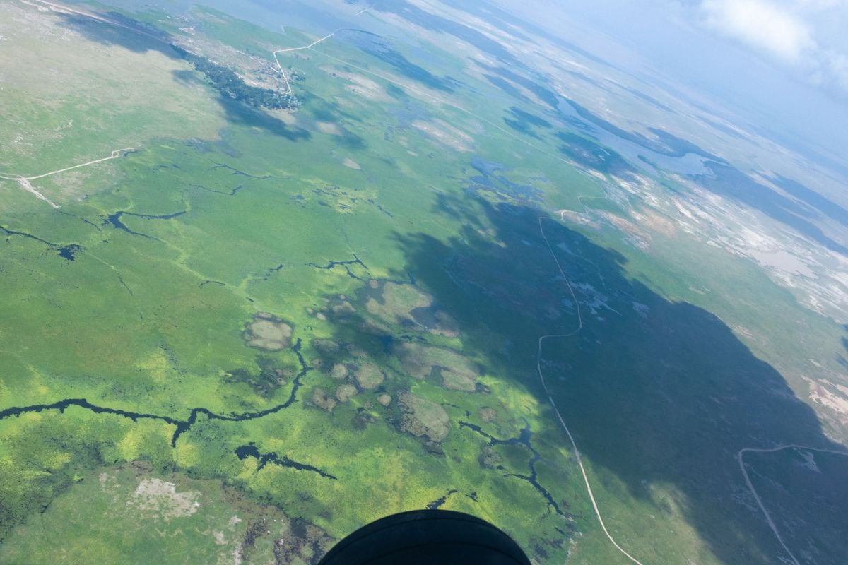 The view from above — flying in over Amboseli’s marshlands