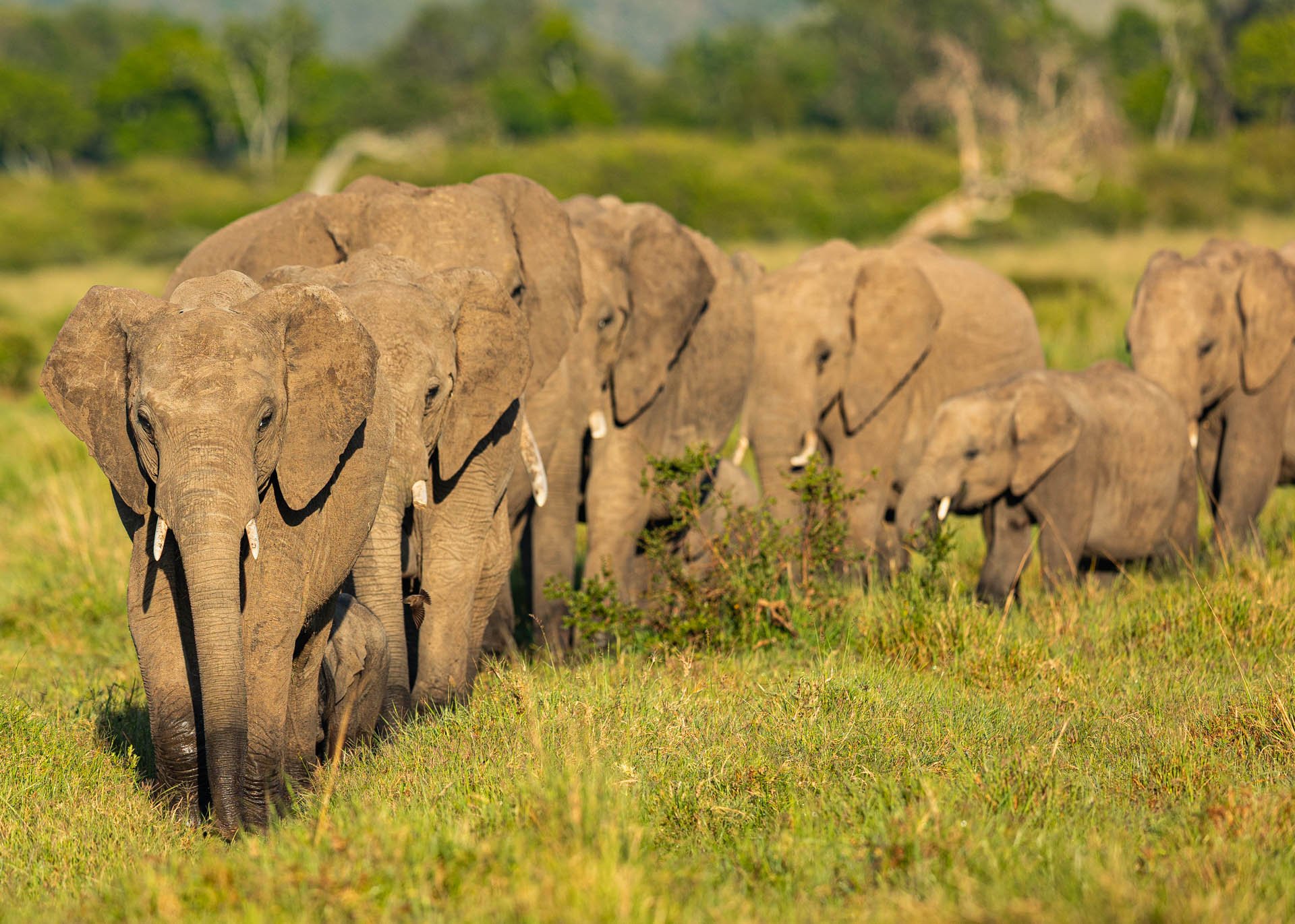 F4.0, 1/1000, ISO160 | Arnold Omondi 