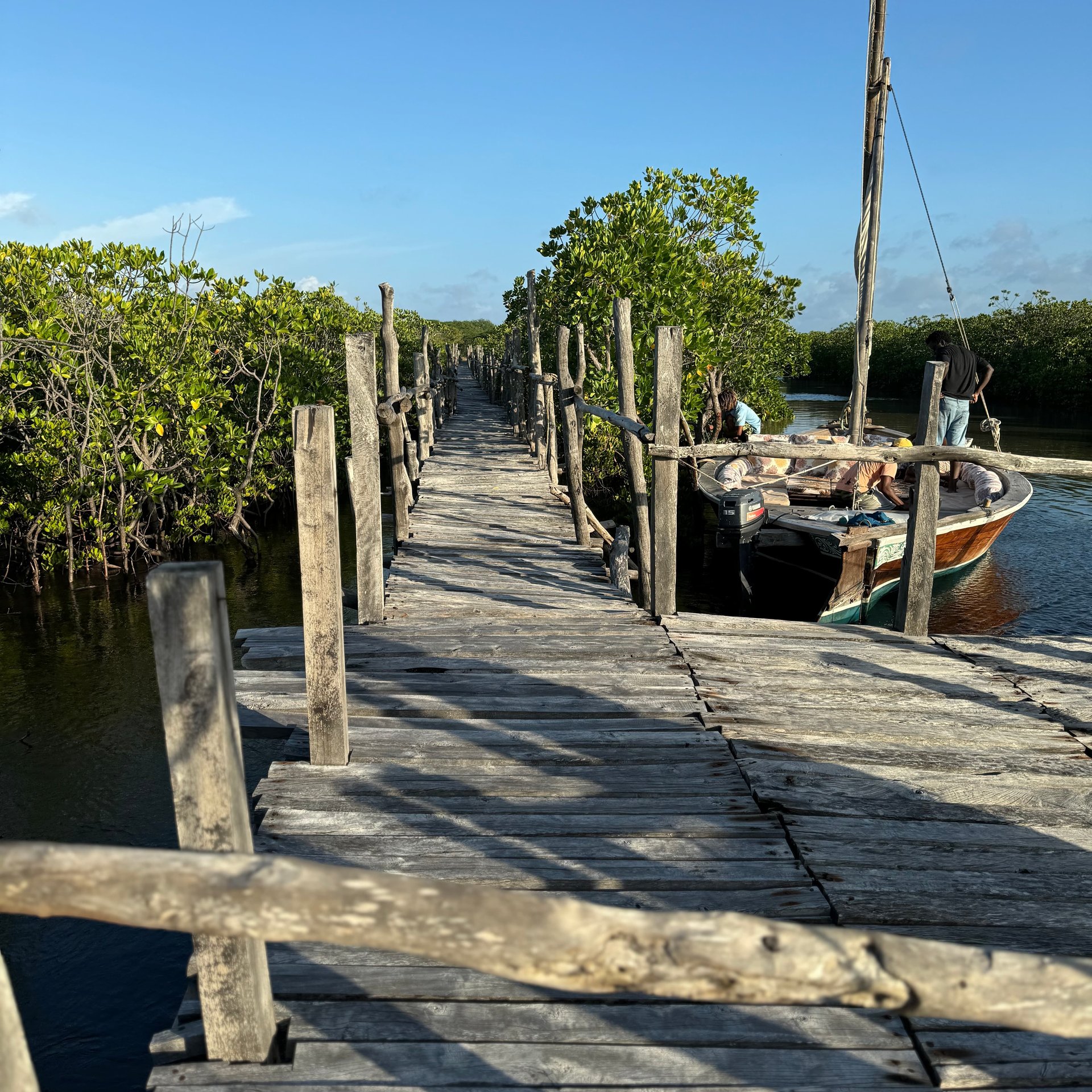 A dock amongst the mangroves — natural coastal protection