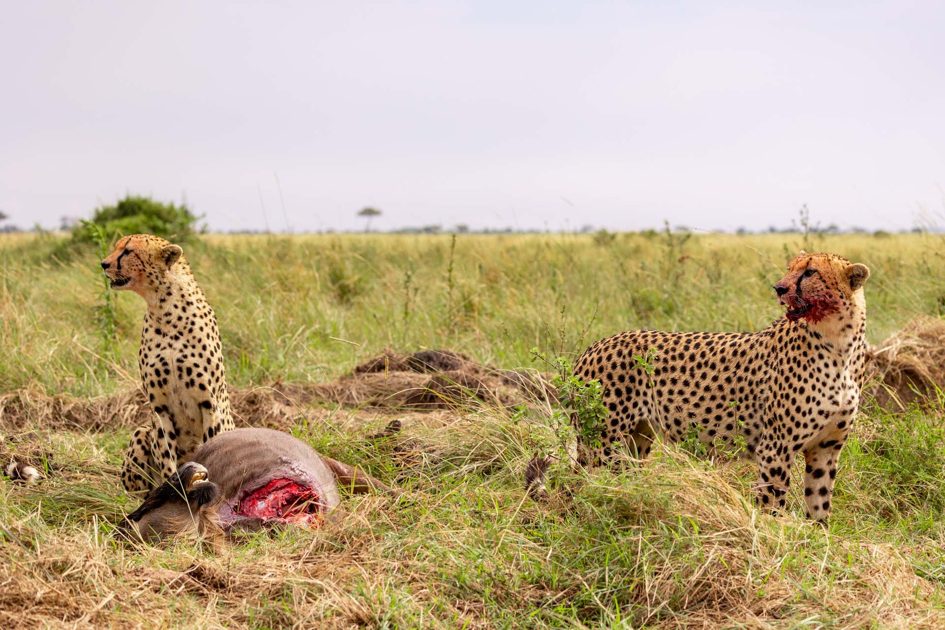 F5.6, 1/800, ISO250 | Sammy Njoroge 