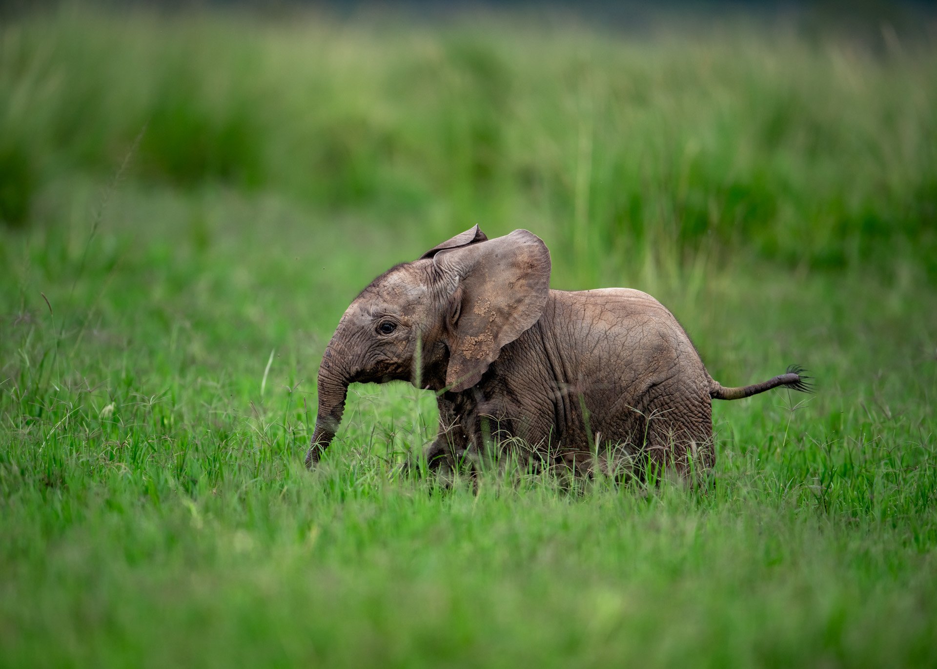 1/500, F 2.8, ISO 320 | Jeremy Macharia