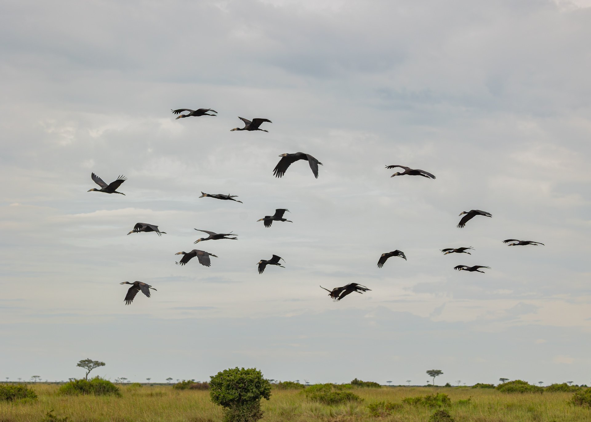 F6.3, 1/1250, ISO800 | Arnold Omondi 