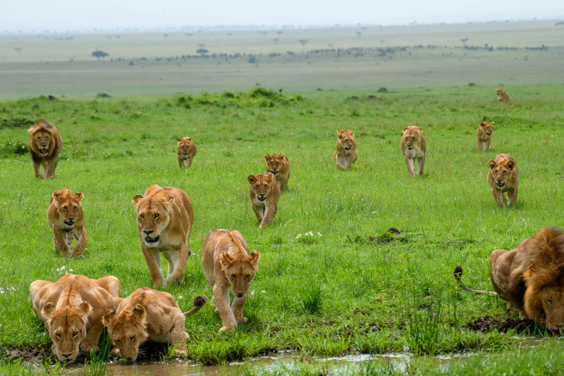 F8, 1/800, ISO 250 | Jeremy Macharia 