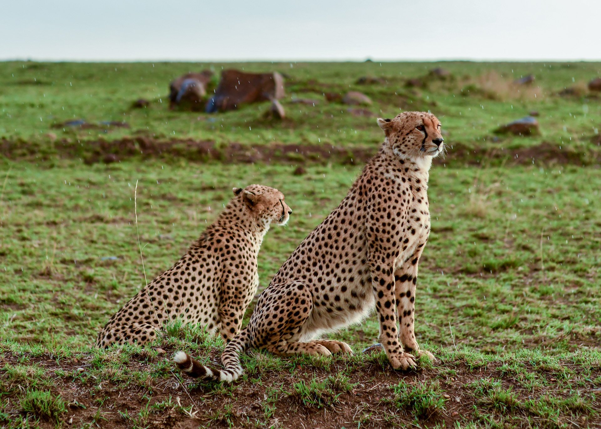 F 4, 1/640, ISO 500 | Jeremy Macharia