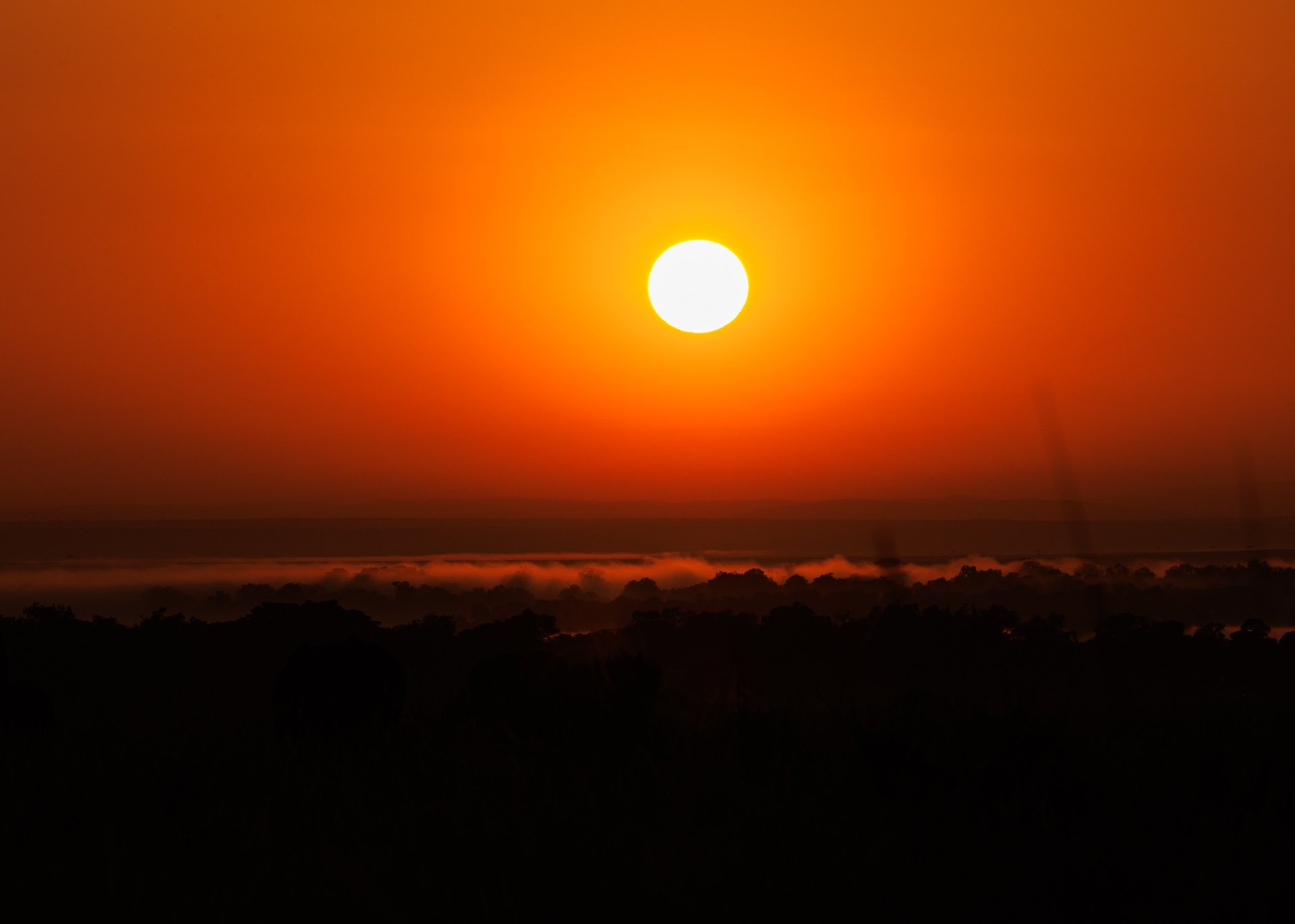 F16.0, 1/1000, ISO500 | Arnold Omondi 