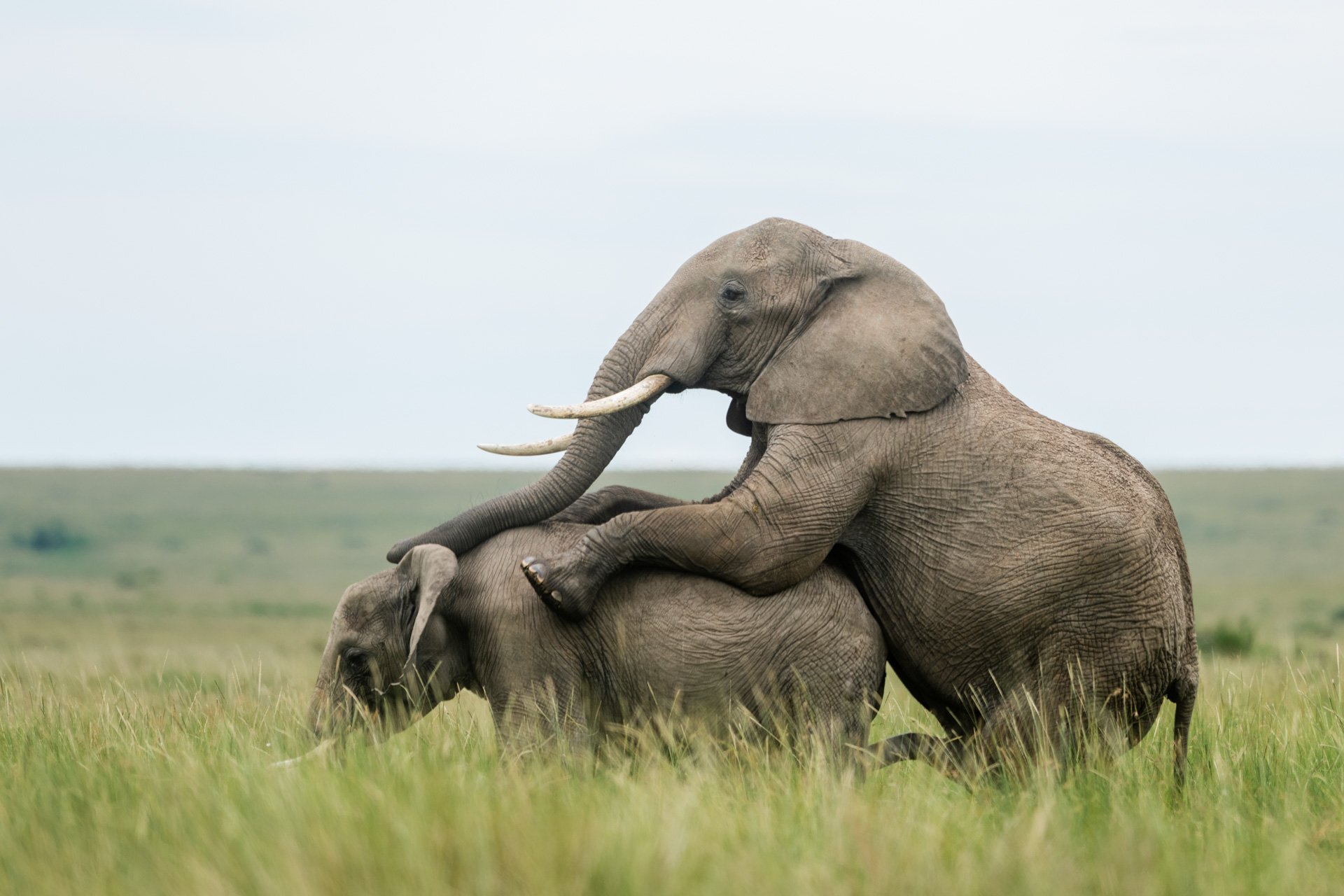F5, 1/640, ISO 100 | Guide Jeremy Macharia 