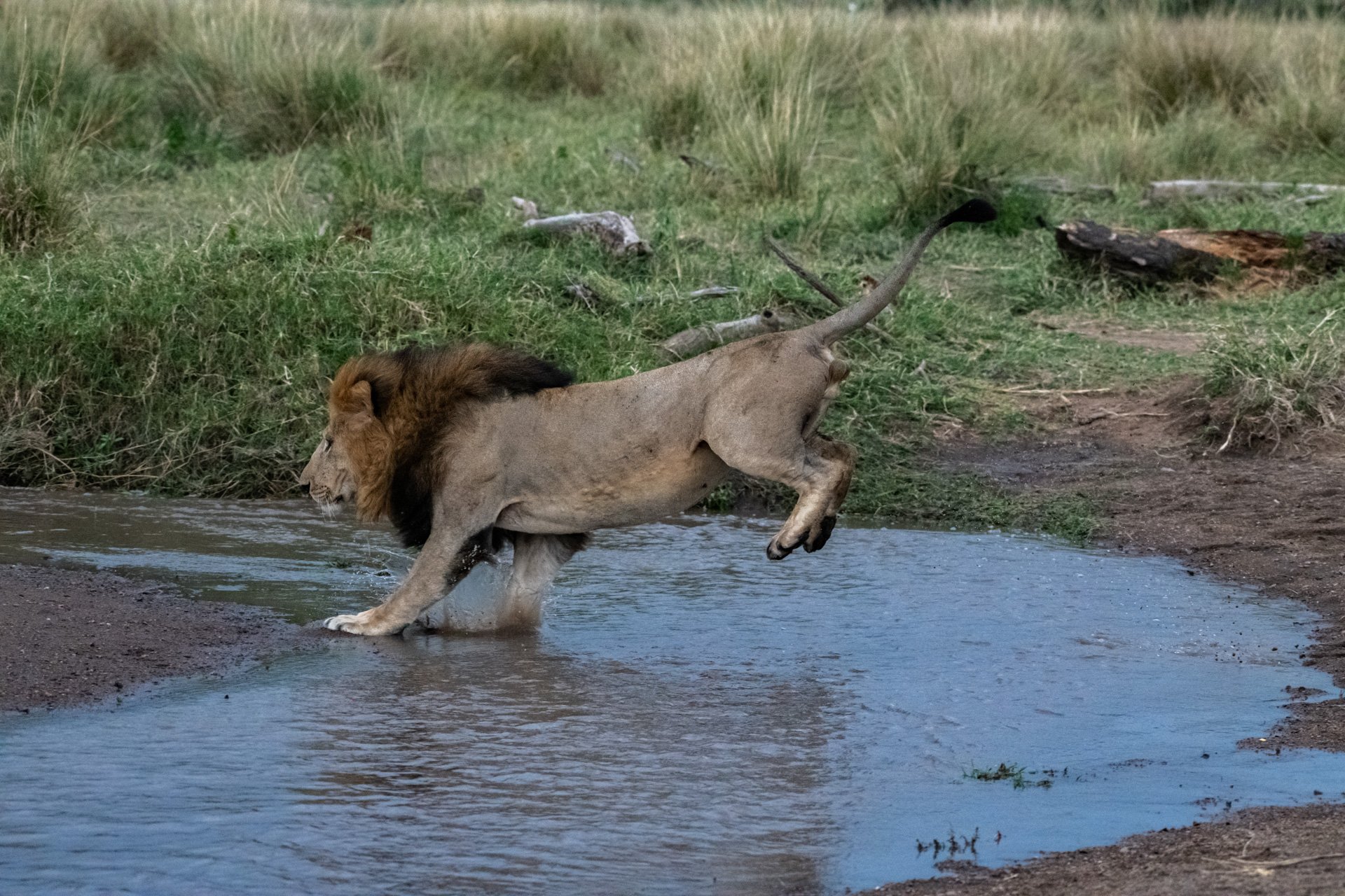 F 7.1, 1/1000, ISO 4000 | Photo: Jeremy Macharia