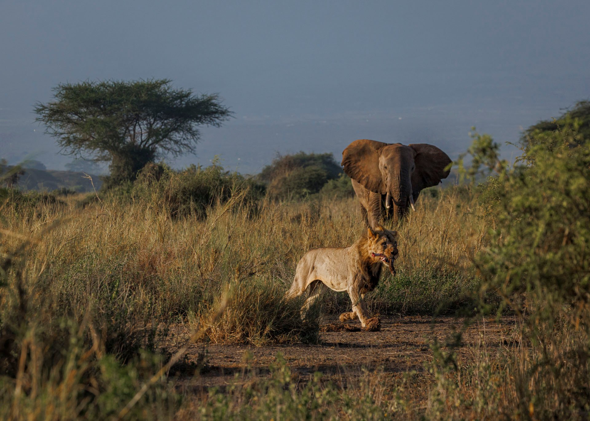 F9.0, 1/2500, ISO800 | Marvin Mwarangu 