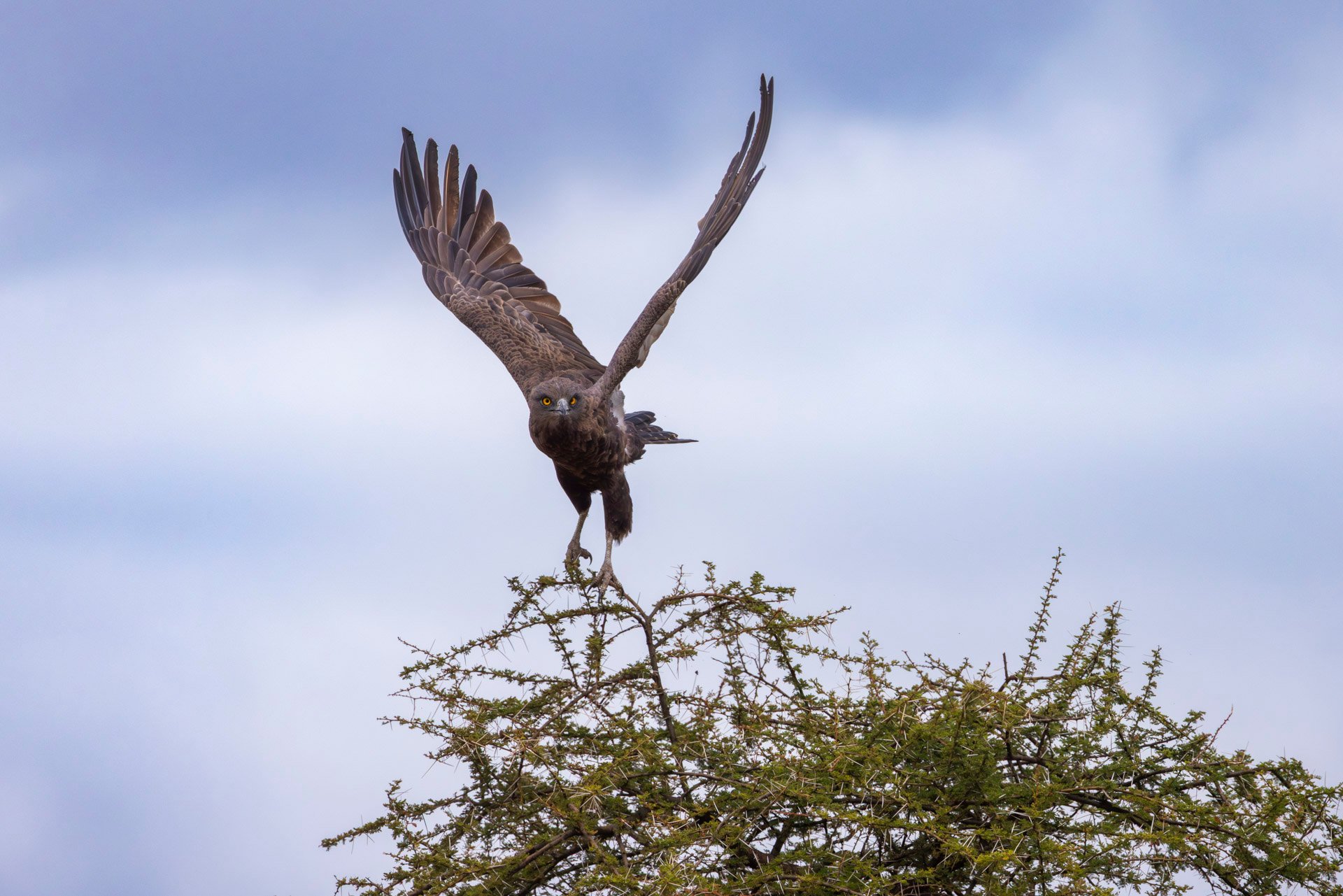 F 8, 1/6400, ISO 2000 | Sammy Njoroge 