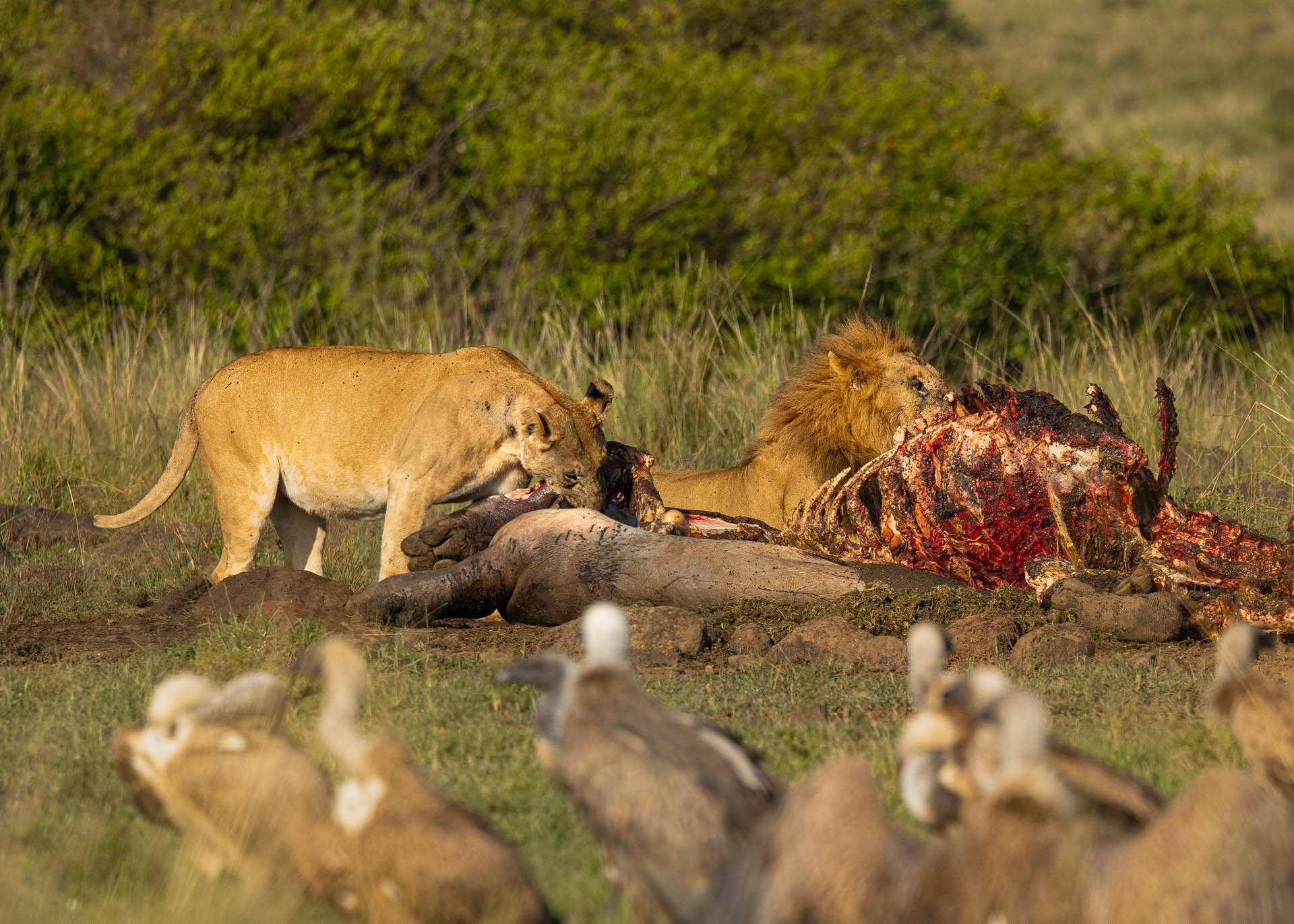 F6.3, 1/1000, ISO200 | Arnold Omondi 