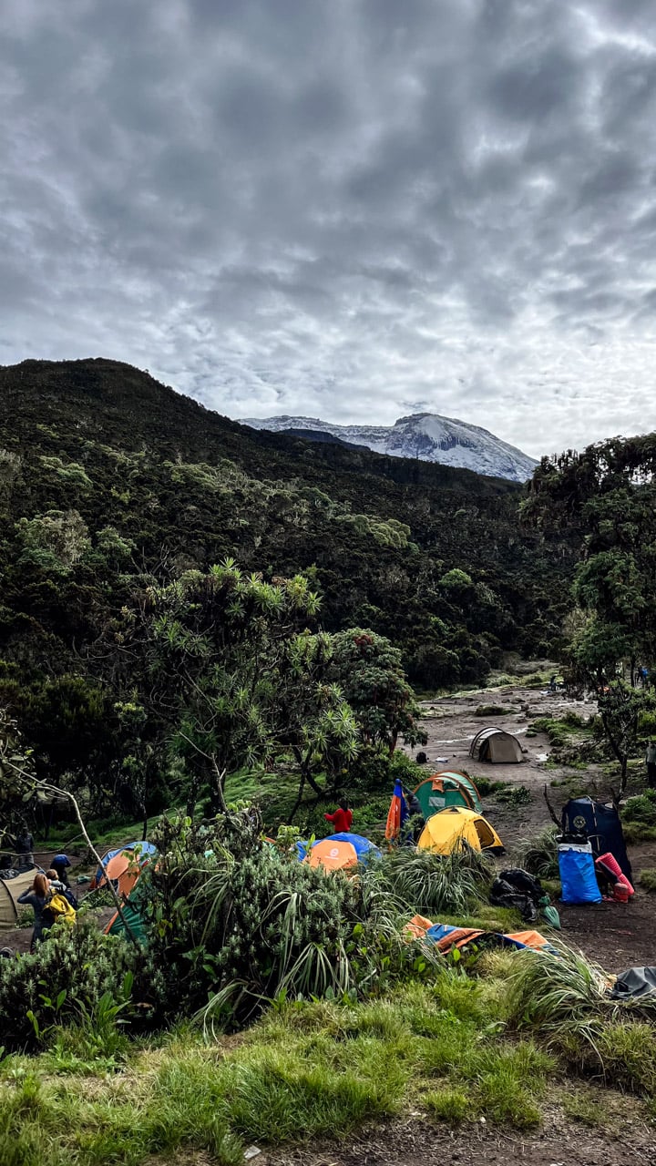 The first glimpse of the summit at Machame Camp — campsite no. 1