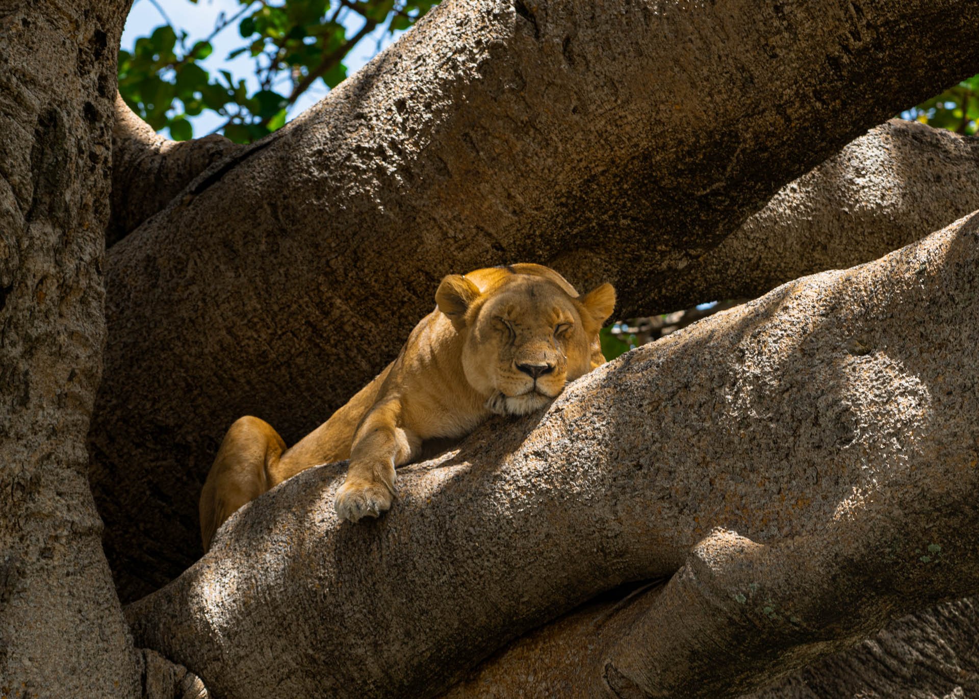 F8.0, 1/200, ISO160 | Guide Jeremy Macharia