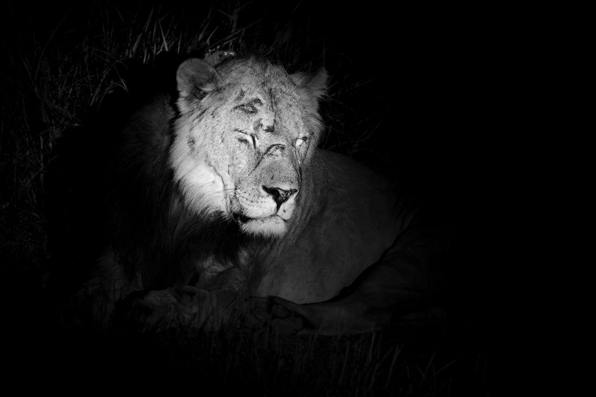 F 5, 1/250, ISO 3200 | Sammy Njoroge