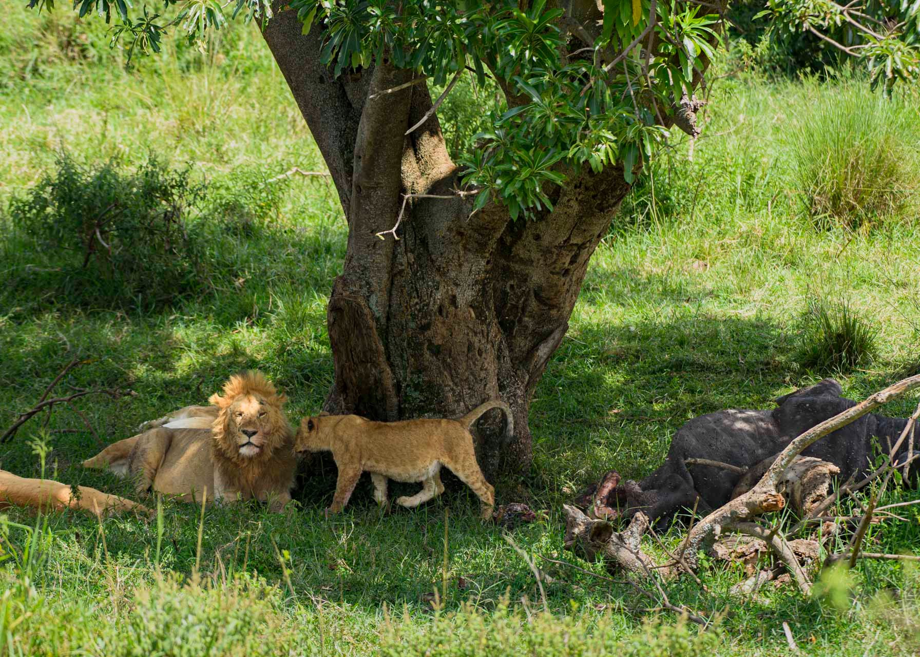 F5.6,1/200, ISO160 | Guide Jeremy Macharia 