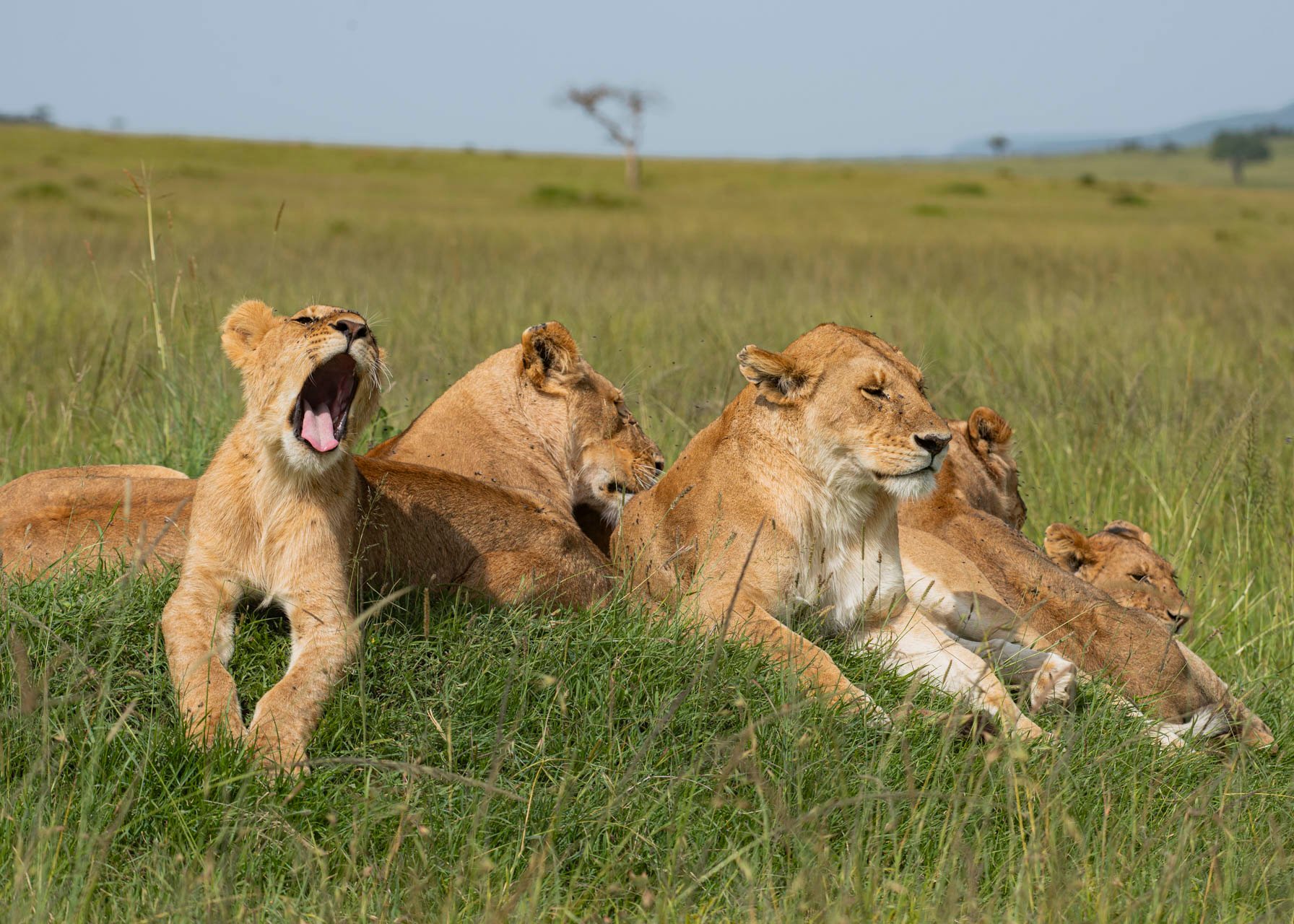 F8.0, 1/320, ISO100 | Guide Jeremy Macharia 