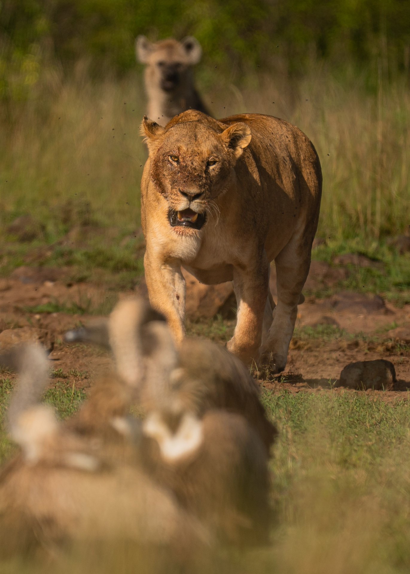 F6.3, 1/1250, ISO160 | Arnold Omondi 