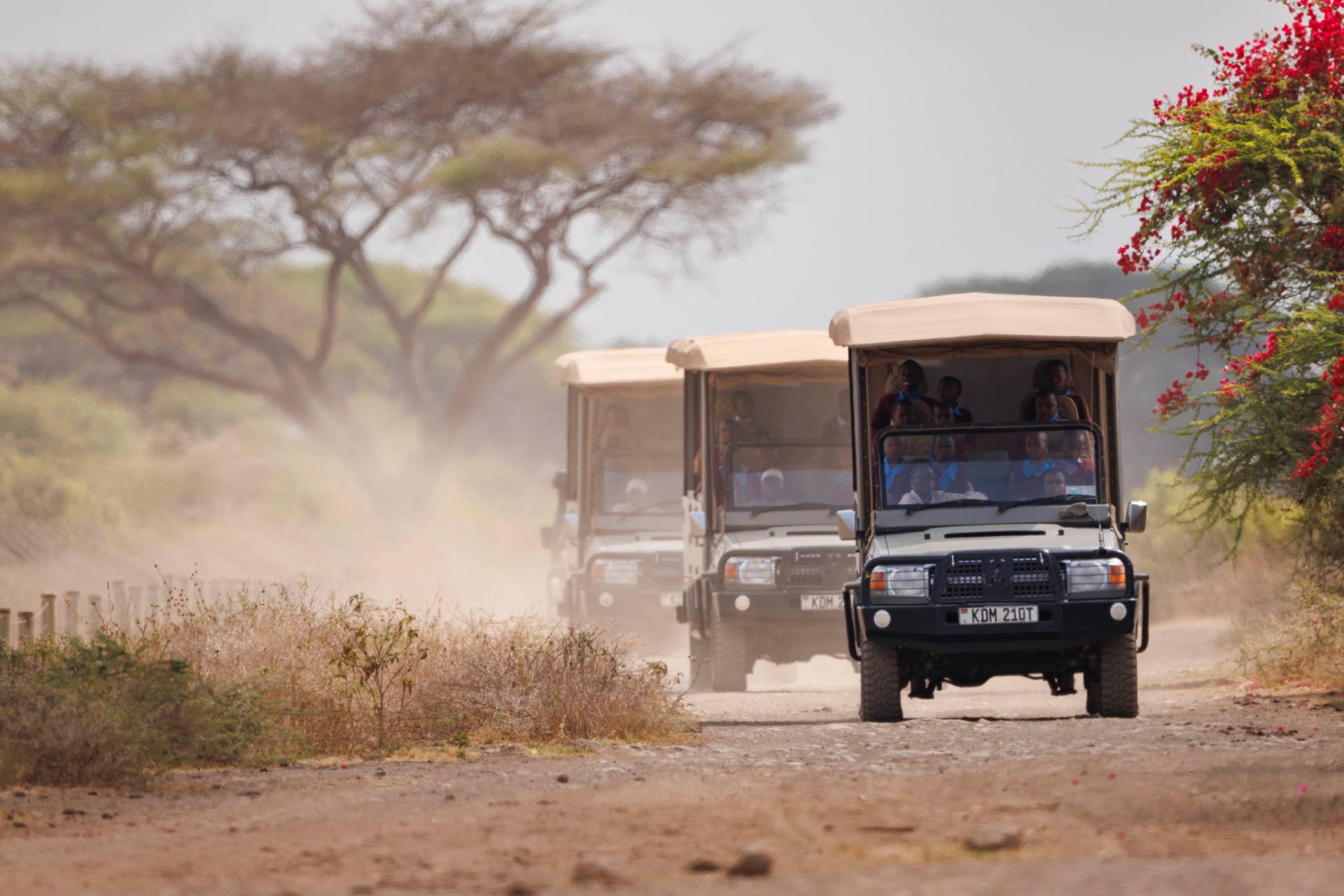 A convoy of future conservationists in the making