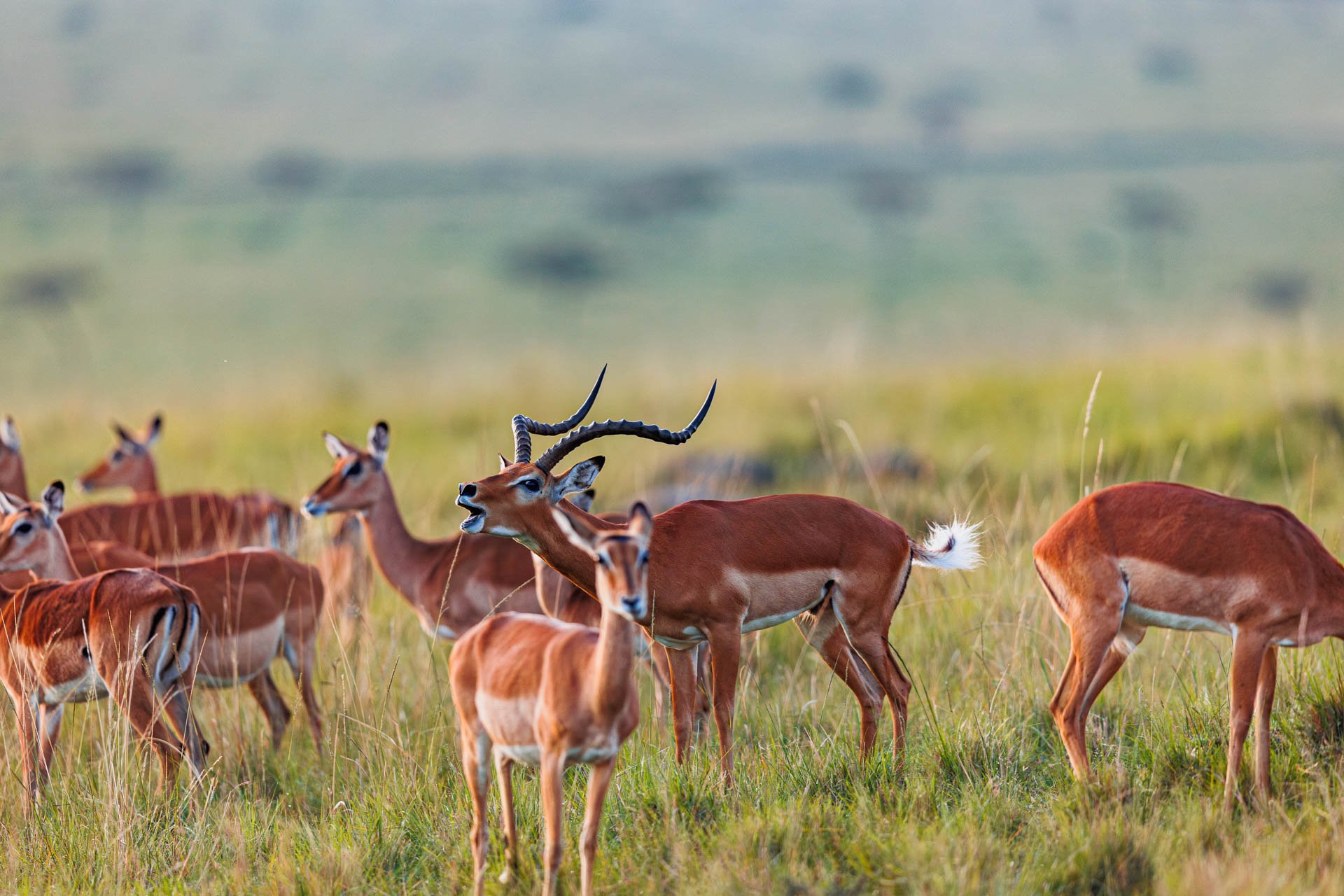 F2.8,1/250, IS0400 | Arnold Omondi 