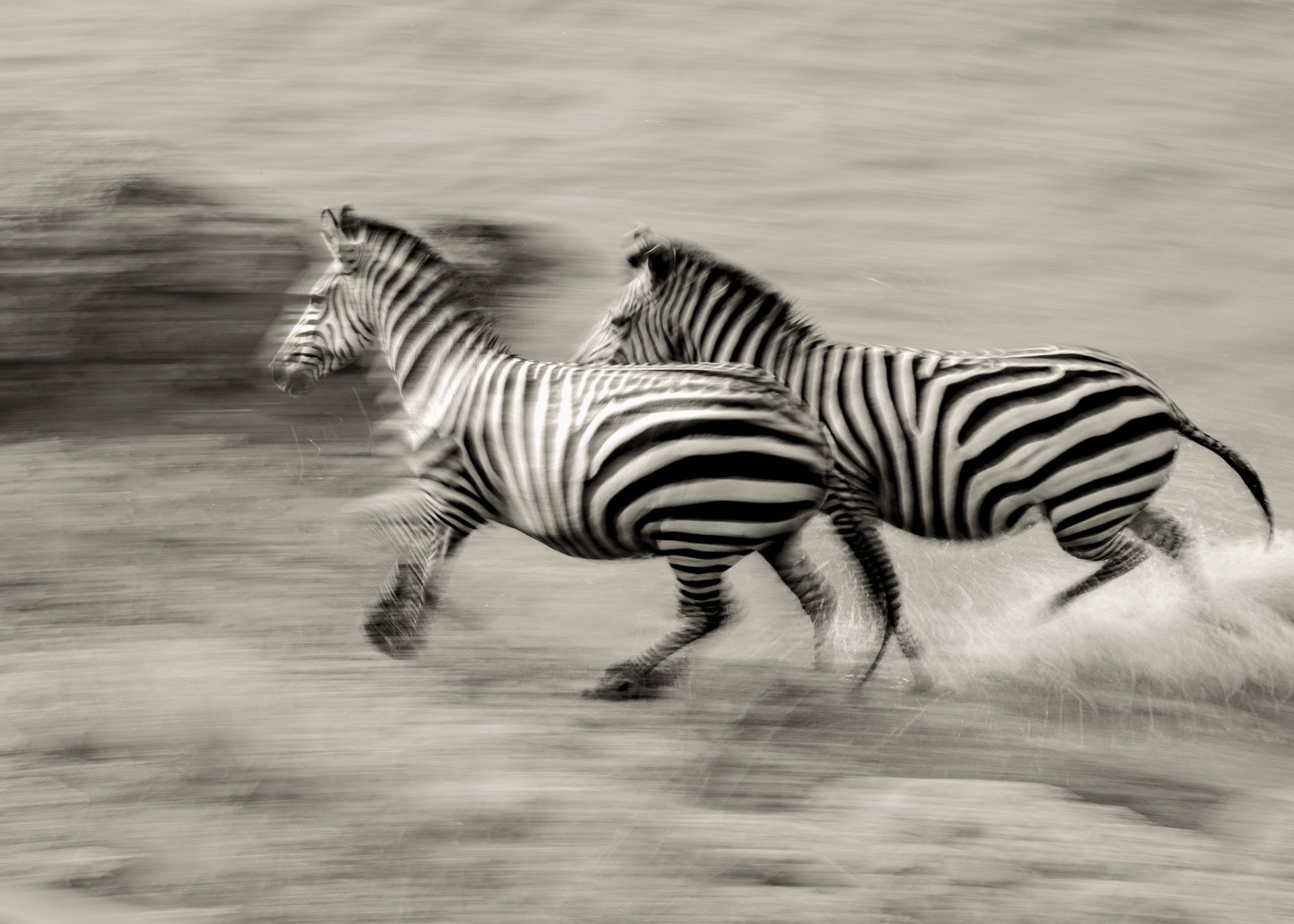 Slowing the shutter speed transformed the scene