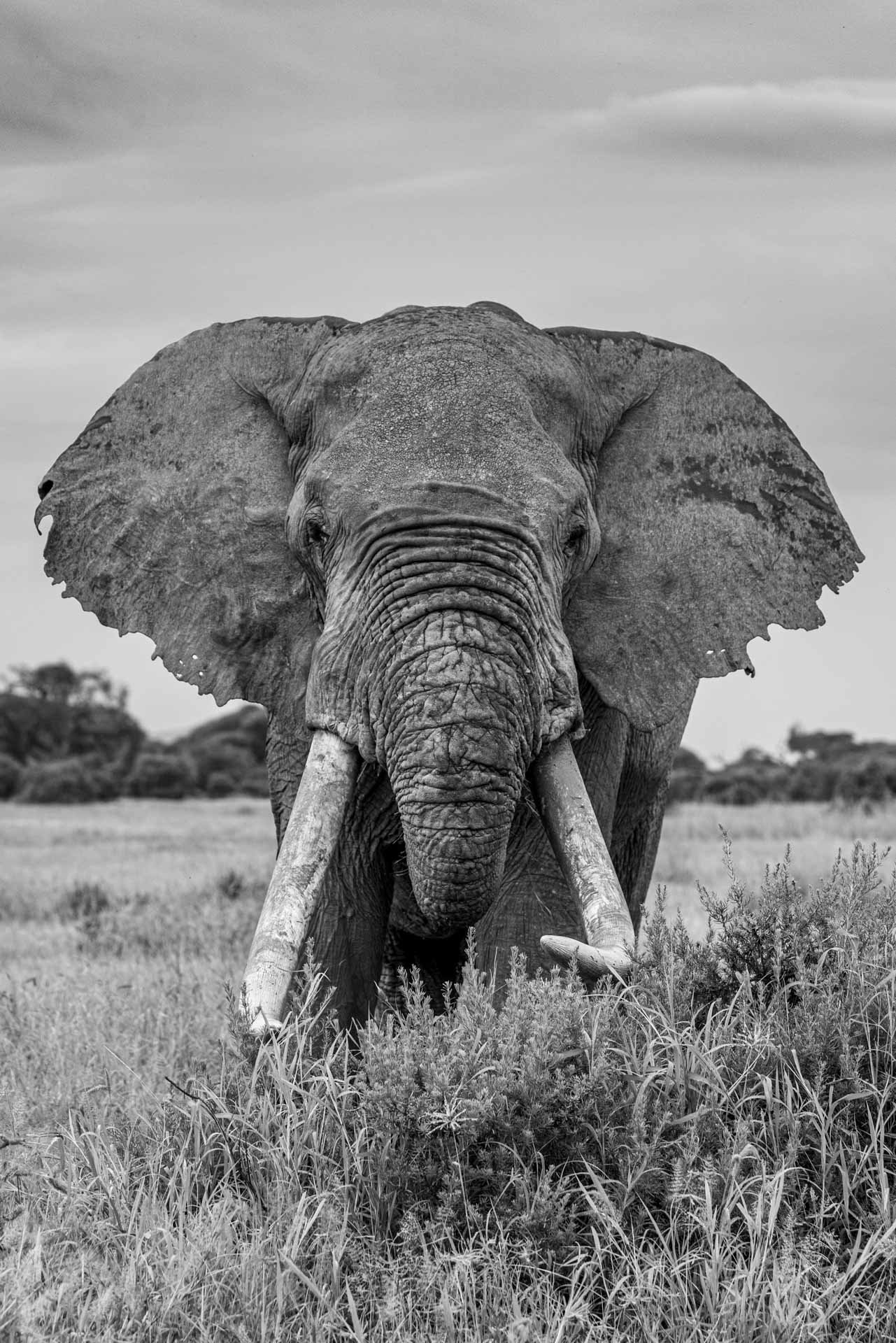 F 4.0, 1/160, ISO 100 | Guest Alexander Pronotorov