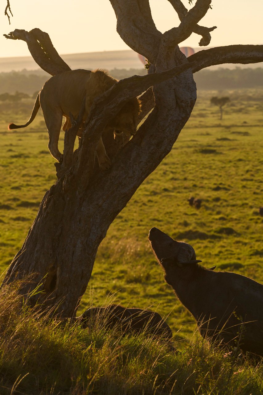F8.0, 1/640, ISO200 | Guide Jeremy Macharia 