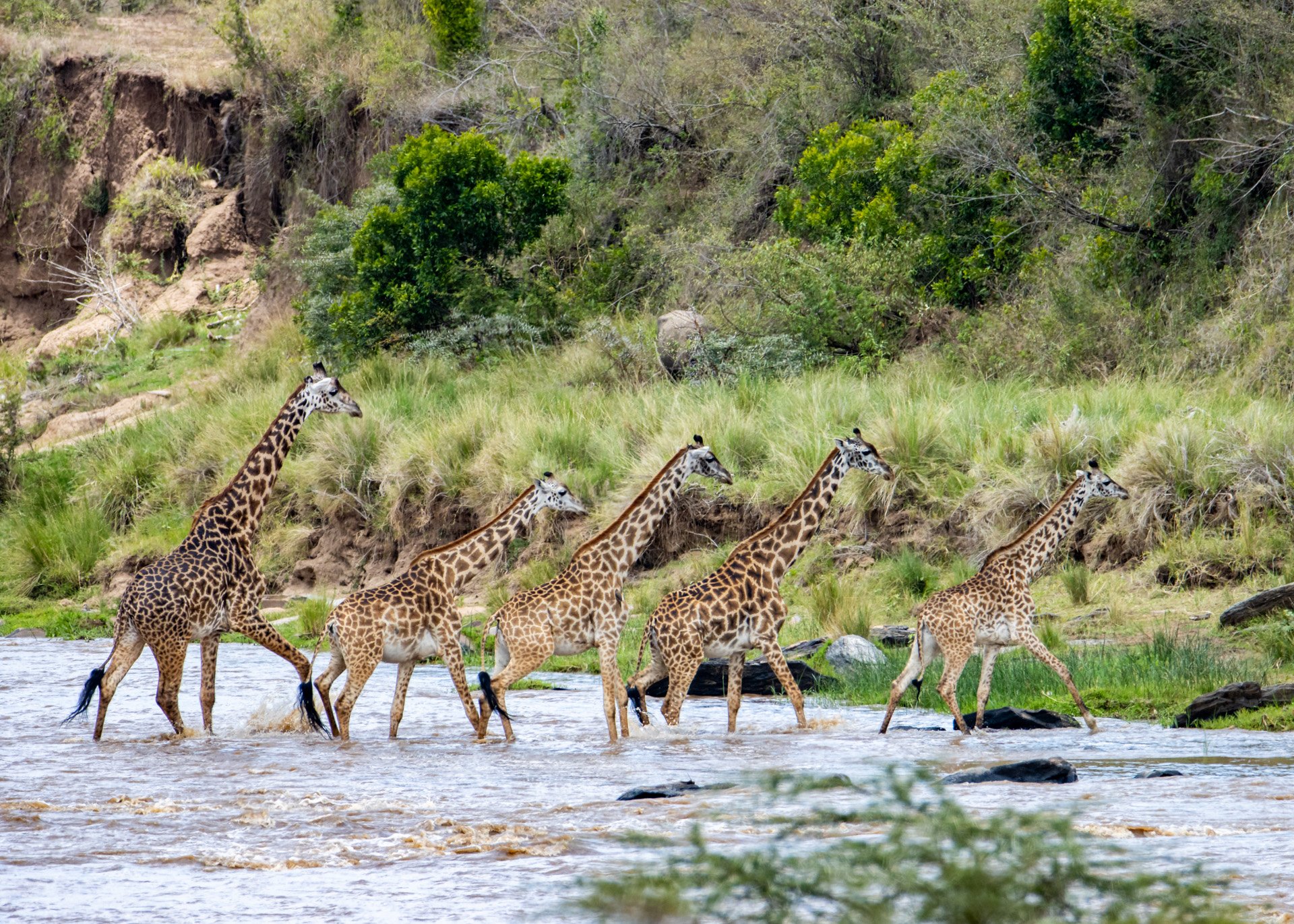 F 6.3, 1/800, ISO 500 | Robert Kiprotich
