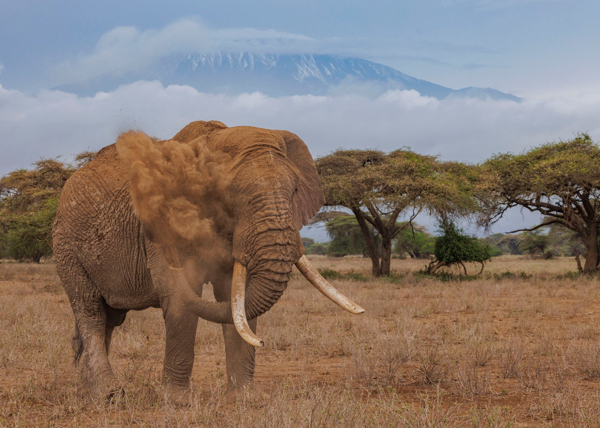 F10.0, 1/800, ISO500 | Marvin Mwarangu 
