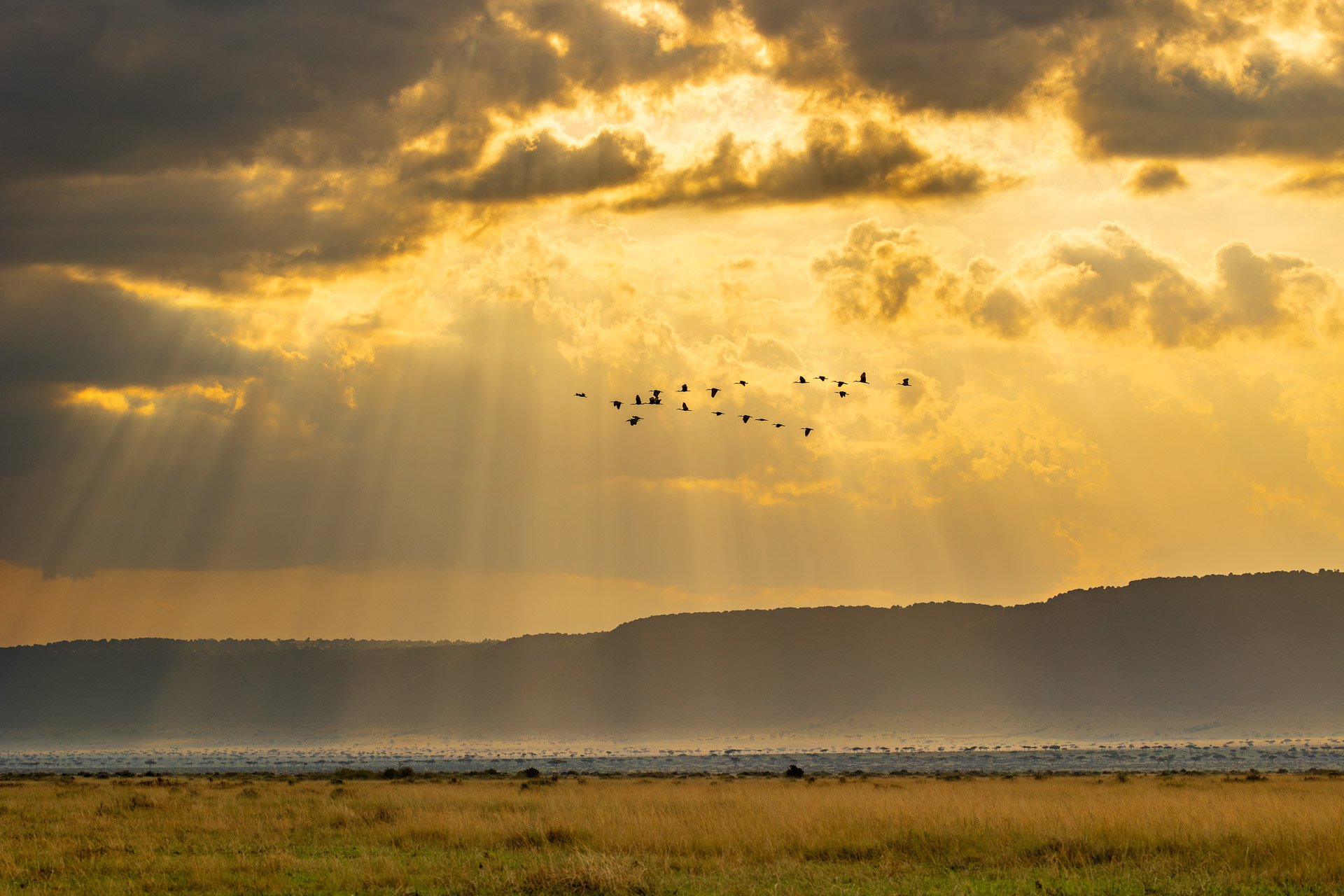 Maasai Mara