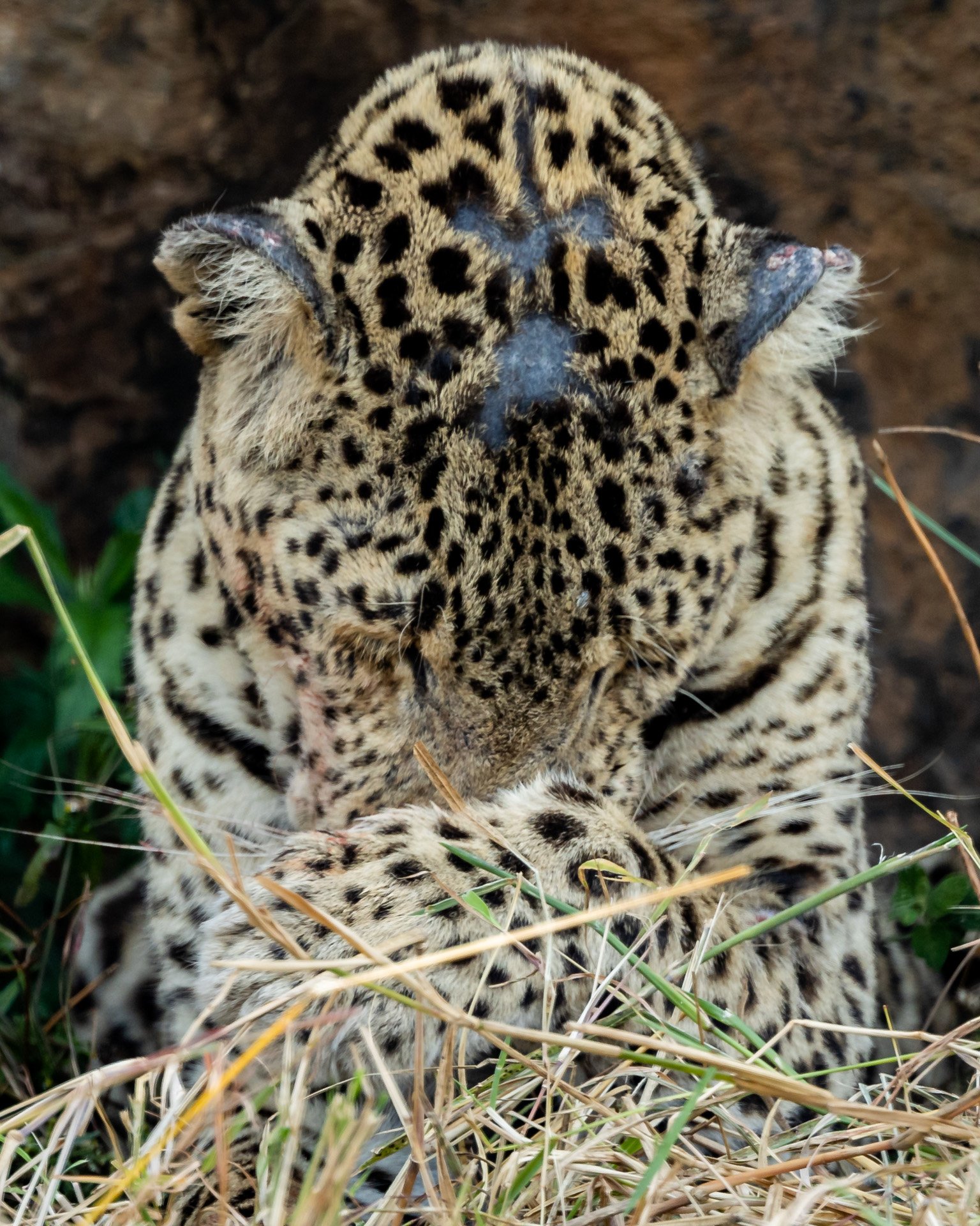 F 7.1, 1/640, ISO 800 | Photo: Robert Sayialel
