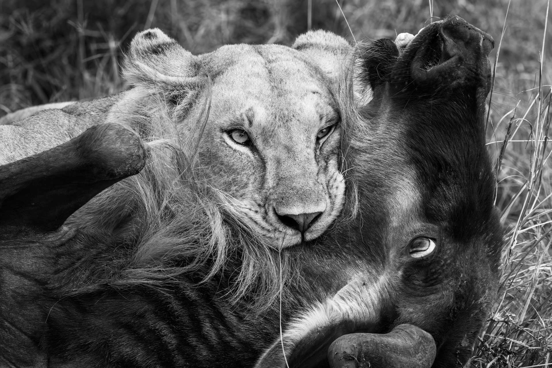 F 8.0, 1/3200, ISO 2800 | Guide Jeremy Macharia 