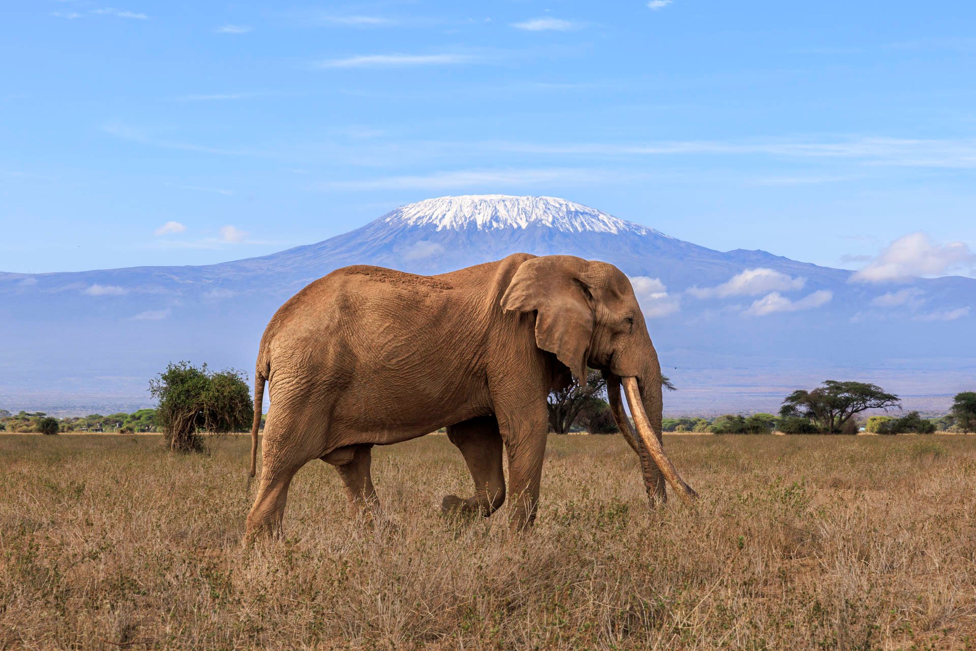 Above: 'Craig, karibu Angama Amboseli'