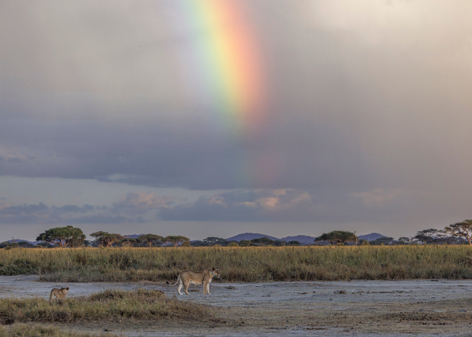 F7.1, 1/320, ISO500 | Rio Marvin 