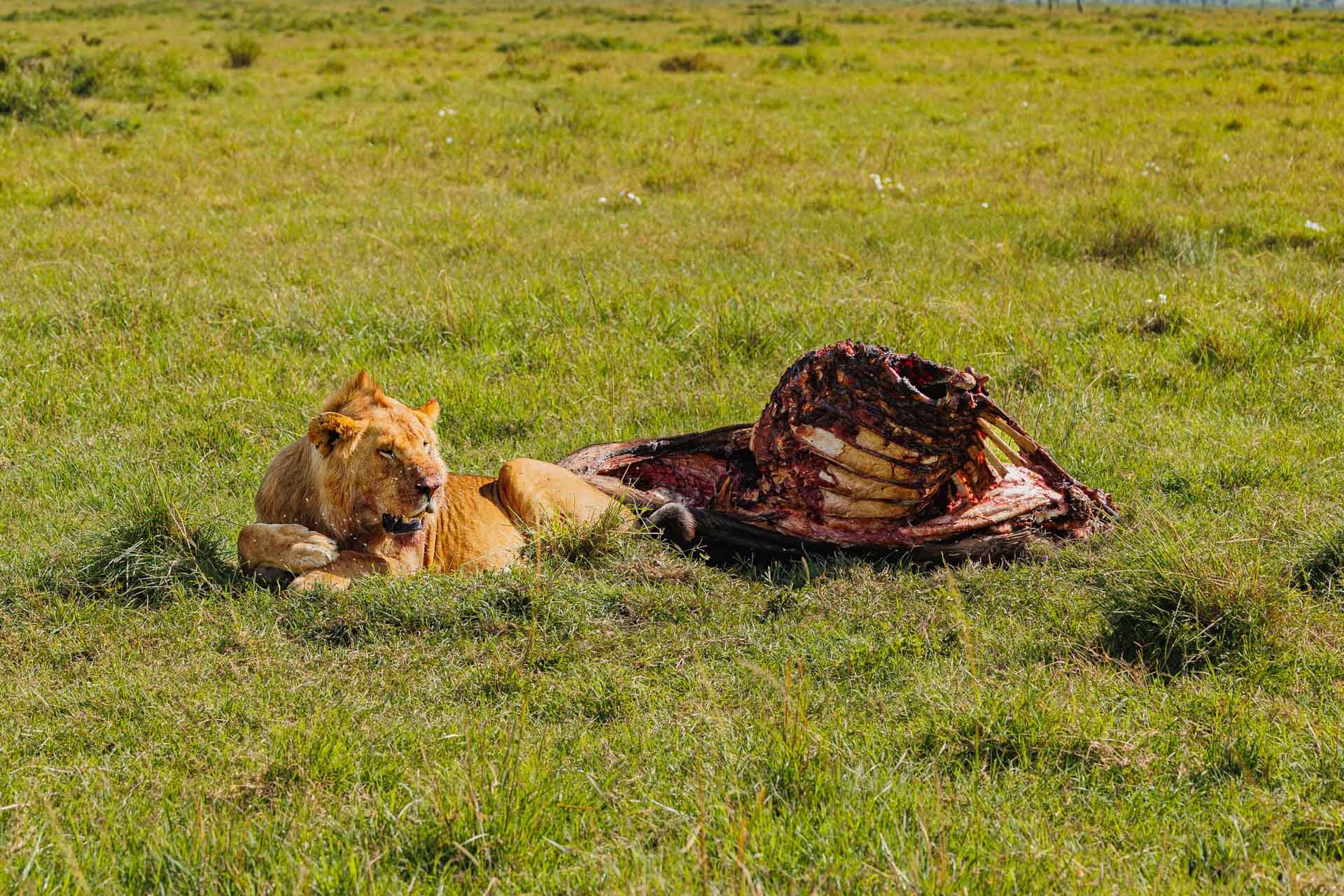 F5.6, 1/250, ISO100 | Arnold Omondi 
