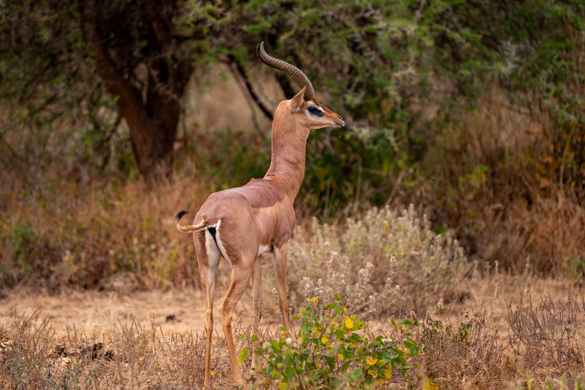 F6.3, 1/320, ISO 160 | Bryan Ngugi 