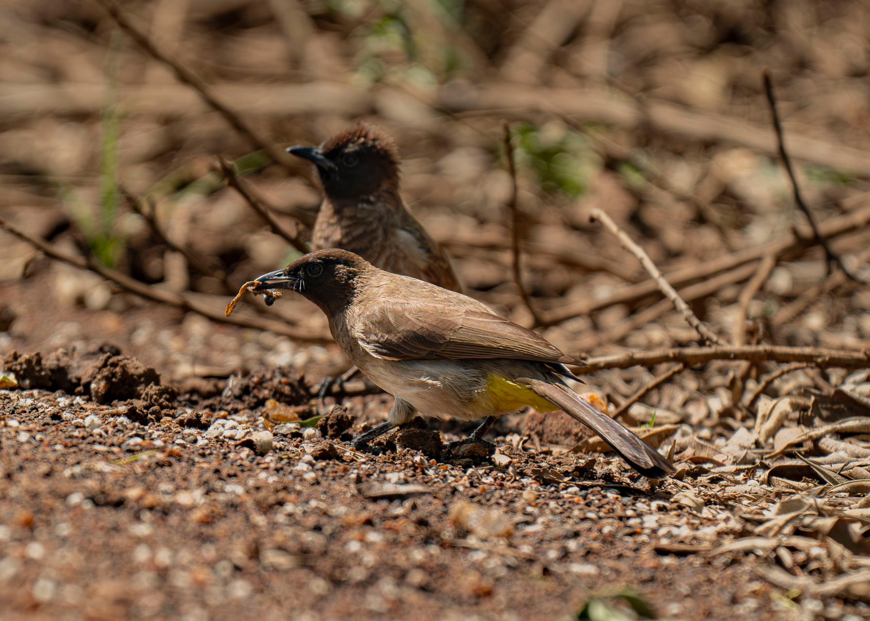 F6.3, 1/2000, ISO640 | Arnold Omondi 