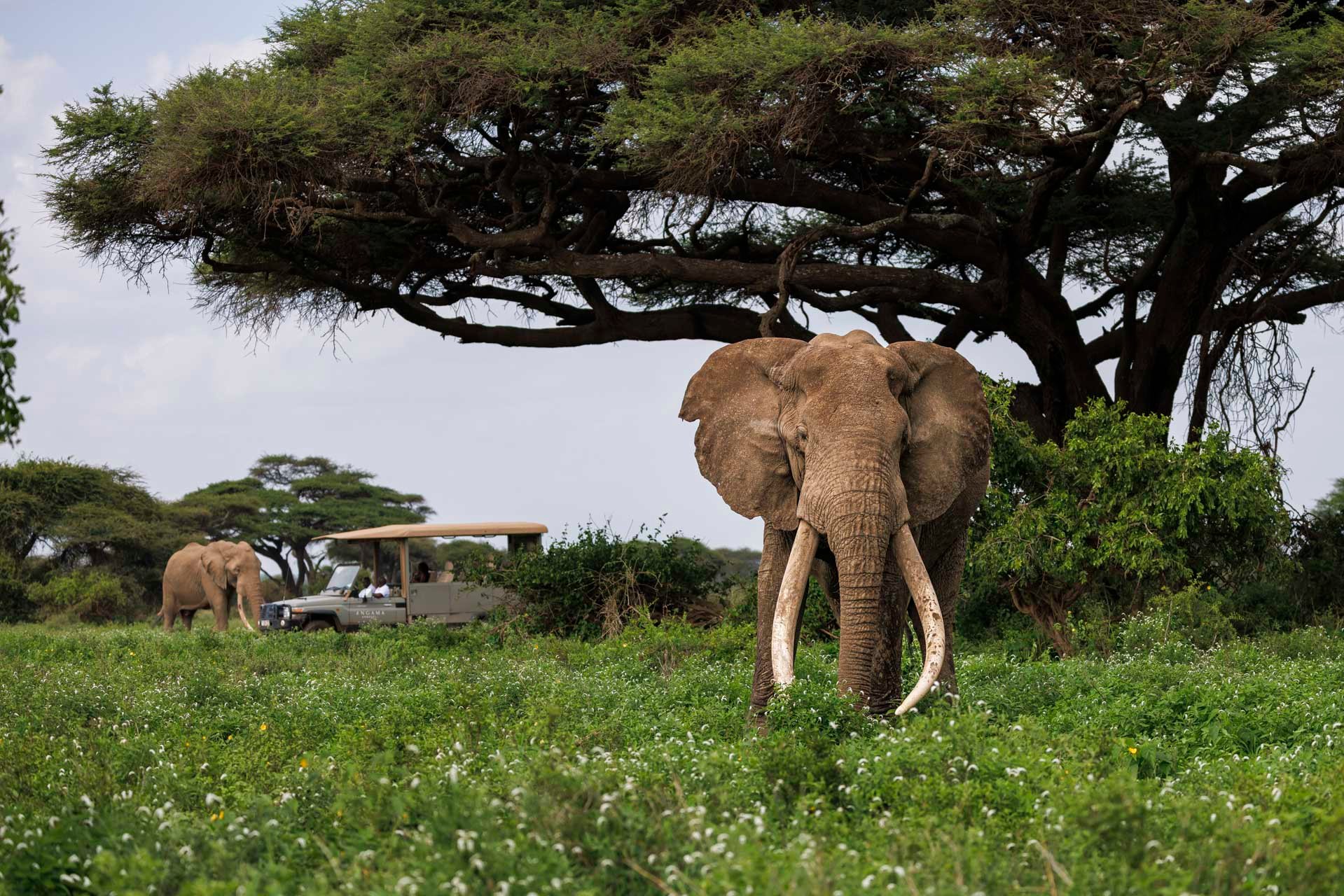 The Angama Amboseli team never tired of seeing Craig in Kimana Sanctuary