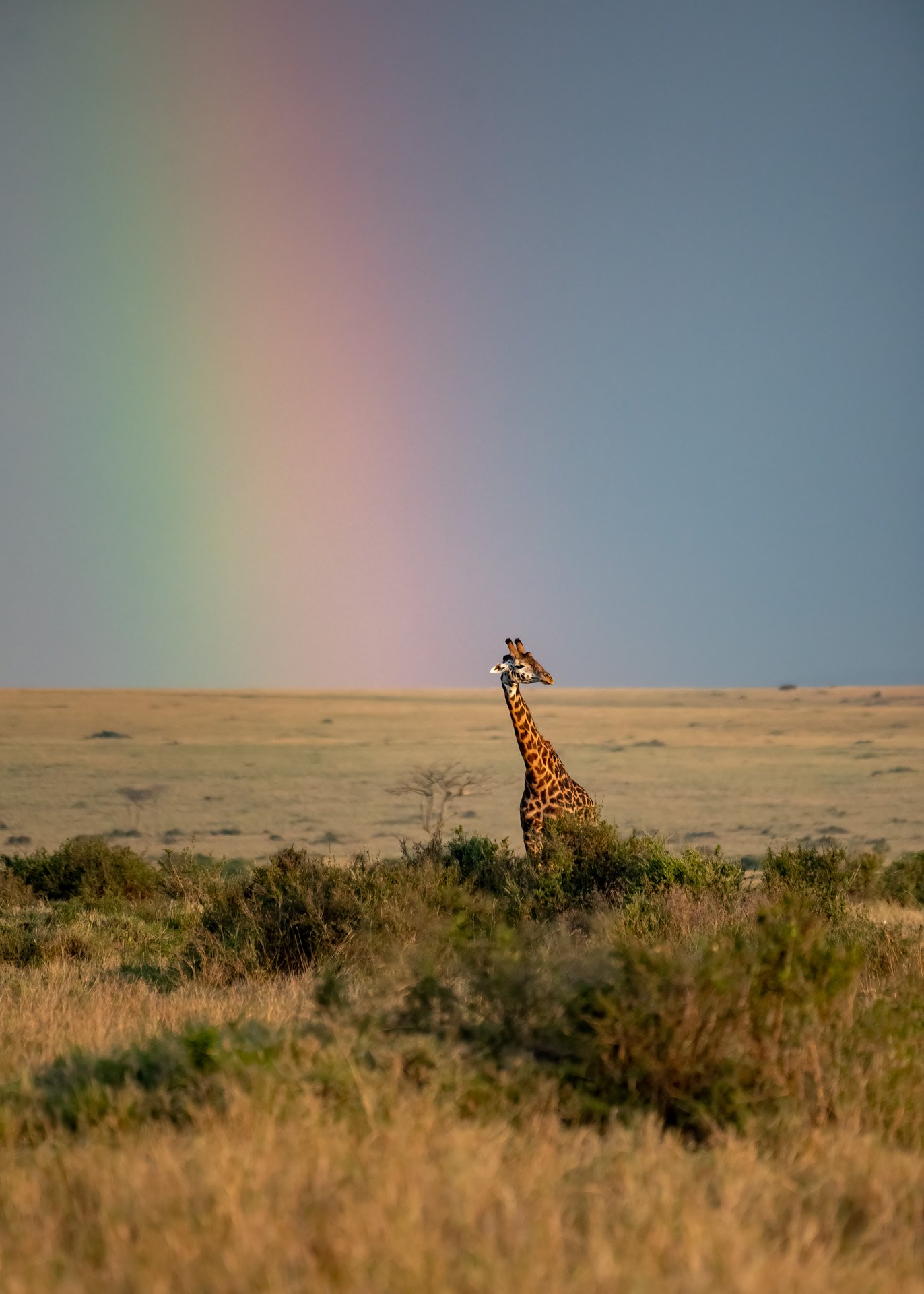 F 5.6, 1/2000, ISO 1600 | Photo: Titus Keteko