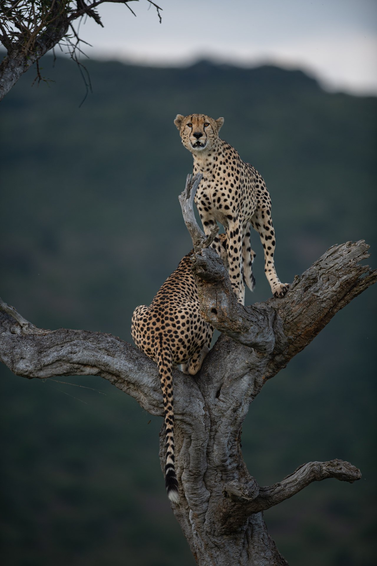 F4.0, 1/640, ISO100 | Guide Jeremy Macharia 