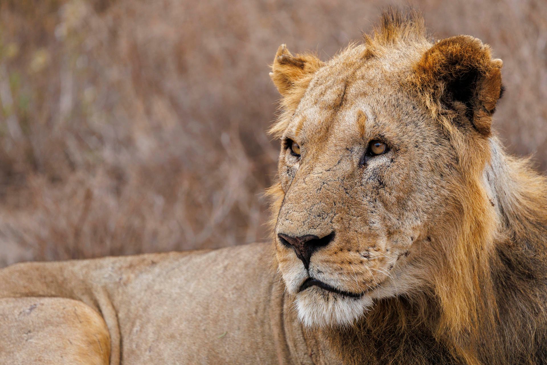 F7.1, 1/320, ISO1600 | Guide Jeremy Lorinyo 