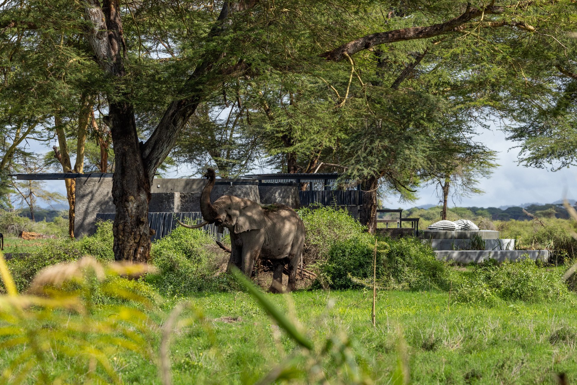 F 8, 1/800, ISO 500 | Sammy Njoroge