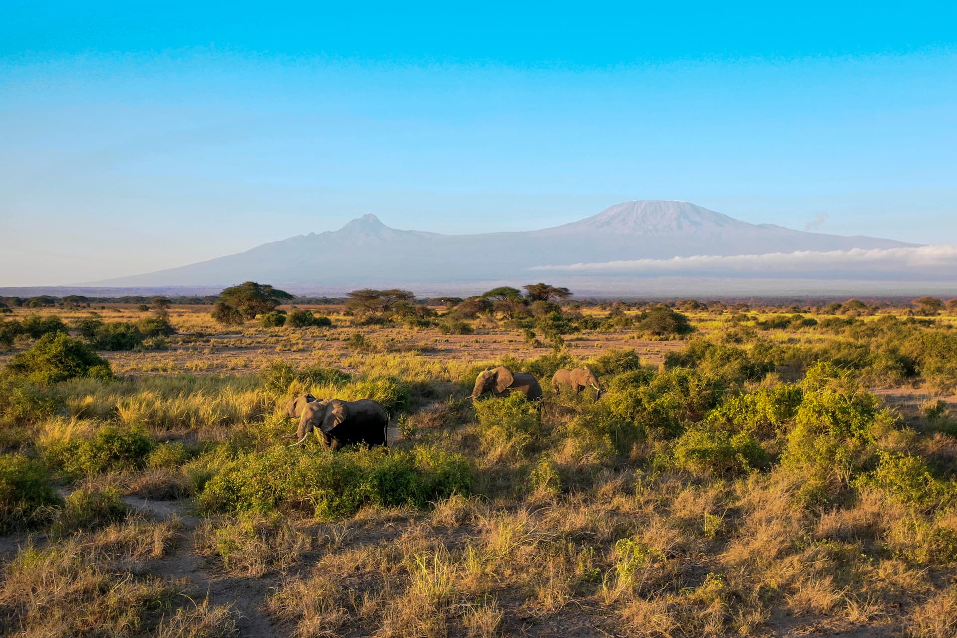 Above: A warm Amboseli welcome 