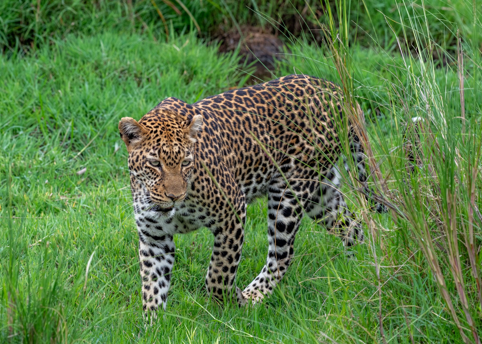 F 5.6, 1/500, ISO 100 | Jeremy Macharia