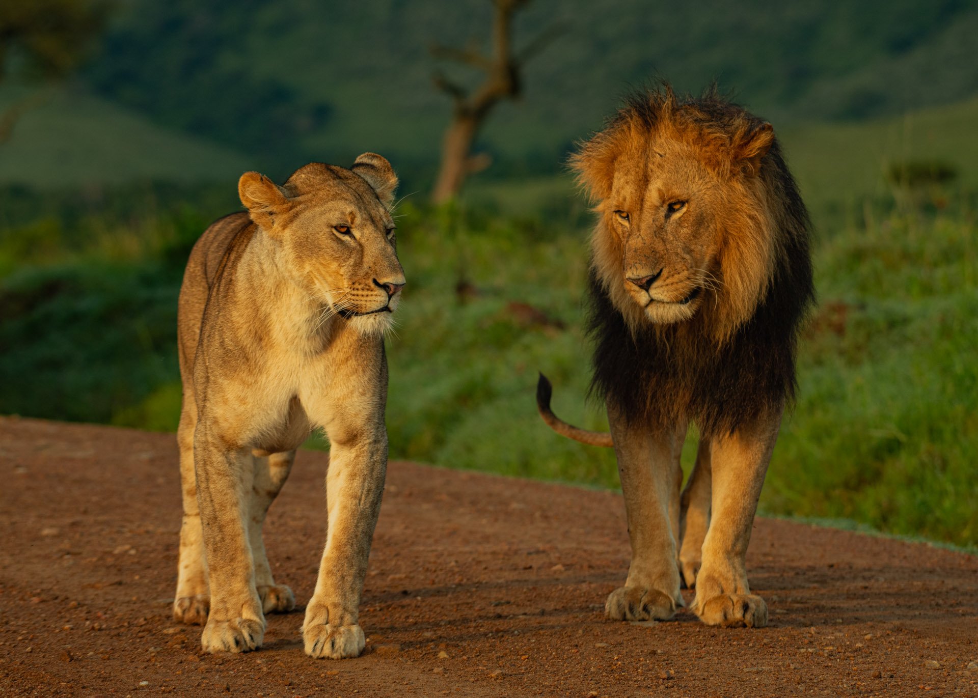 F5.6, 1/400, ISO320 | Guide Jeremy Macharia 